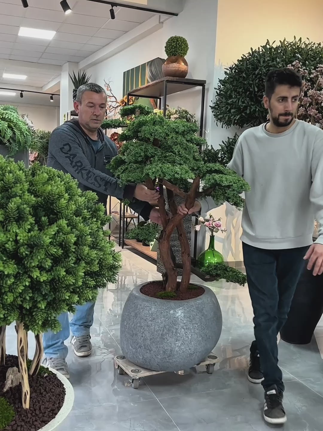 Yapay Bonsai Zen Atlas