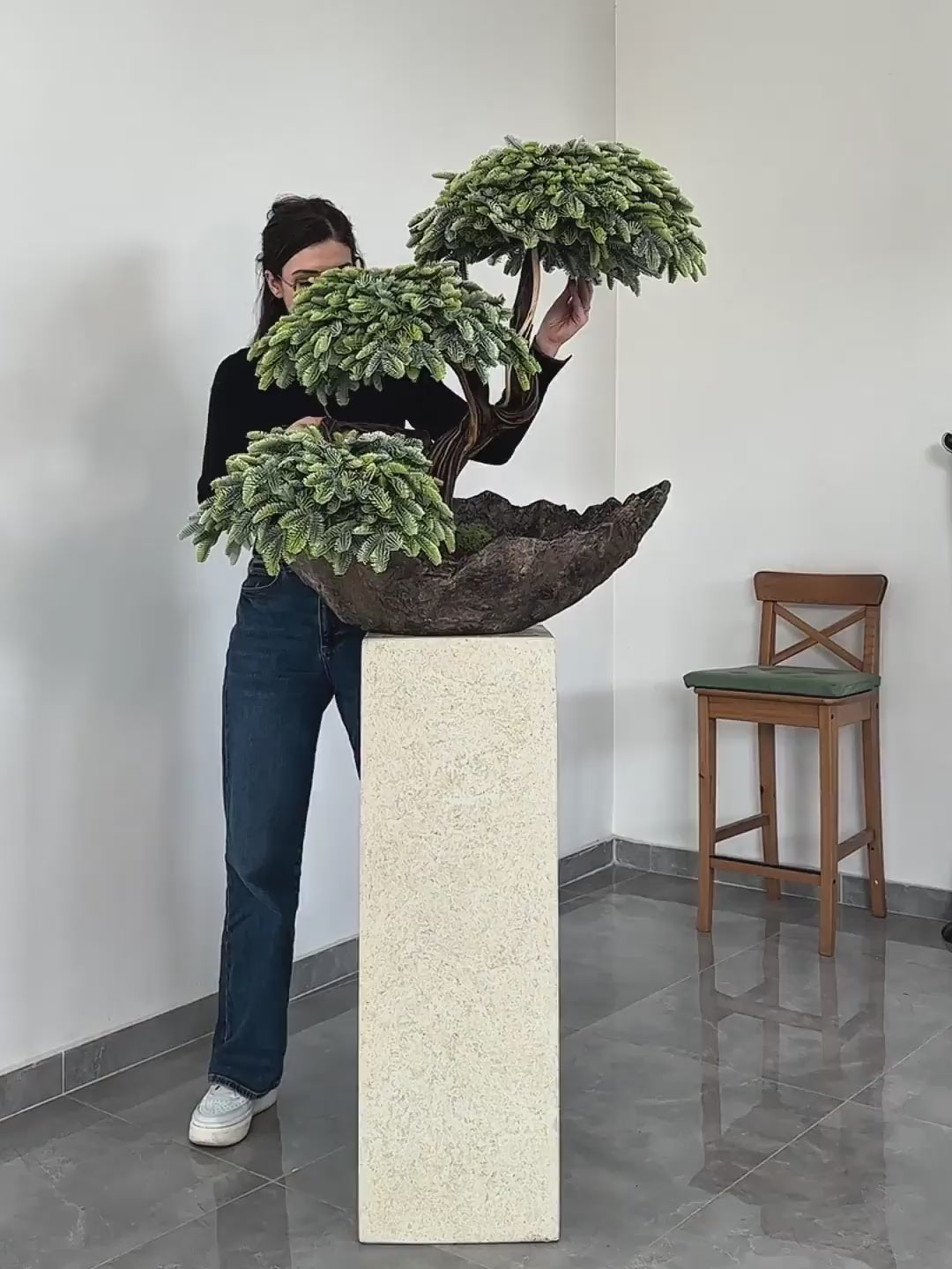 Sirius Cedar — Sculptural Bonsai Composition