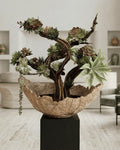 Zen Aman Succulent Arrangement — Lava Collection
