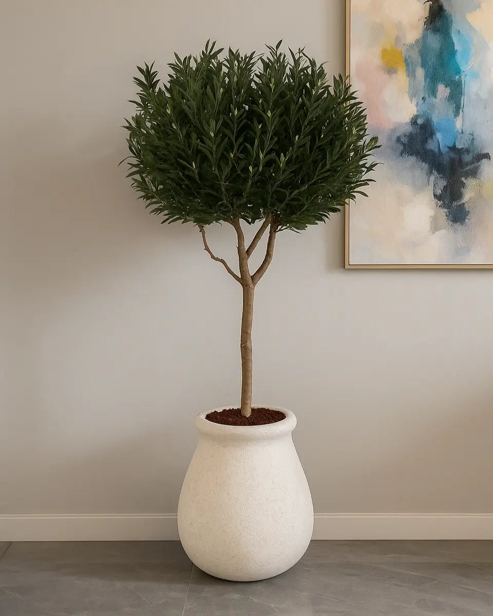 Yapay Ağaç Siyah Zeytin Kum Şehri