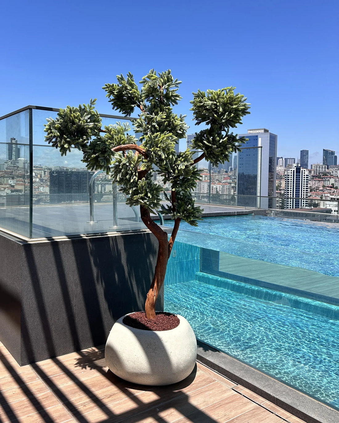 Yapay Bonsai Elbrus Sediri