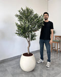 Yapay Zeytin Ağacı Riva