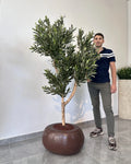 Yapay Zeytin Ağacı Riva