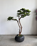 Artificial Bonsai Tree Mont Blanc