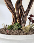 Artificial Tree Black Olive Lycia