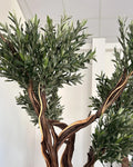 Artificial Tree Black Olive Lycia