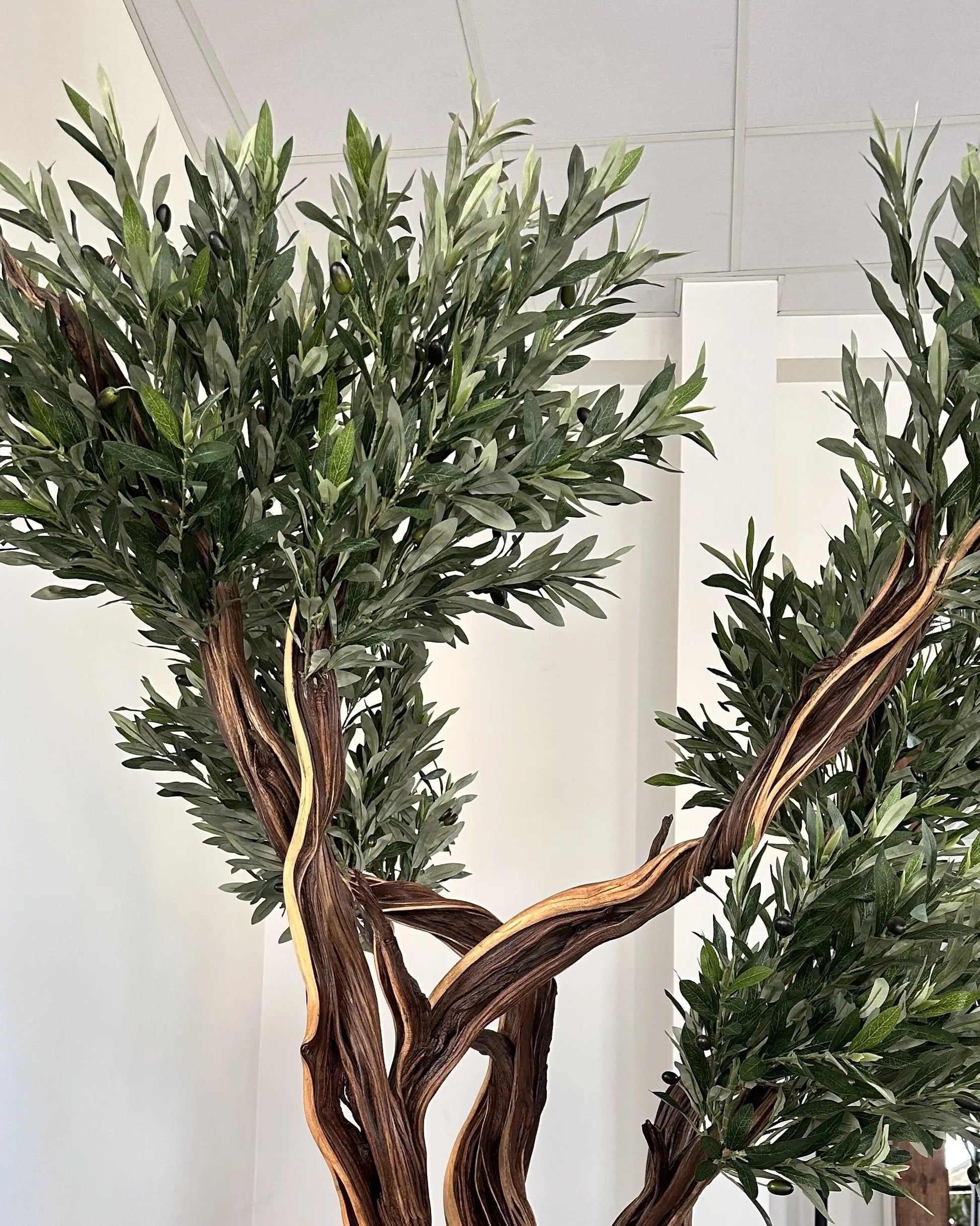 Artificial Tree Black Olive Lycia