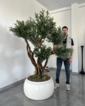 Artificial Tree Black Olive Lycia