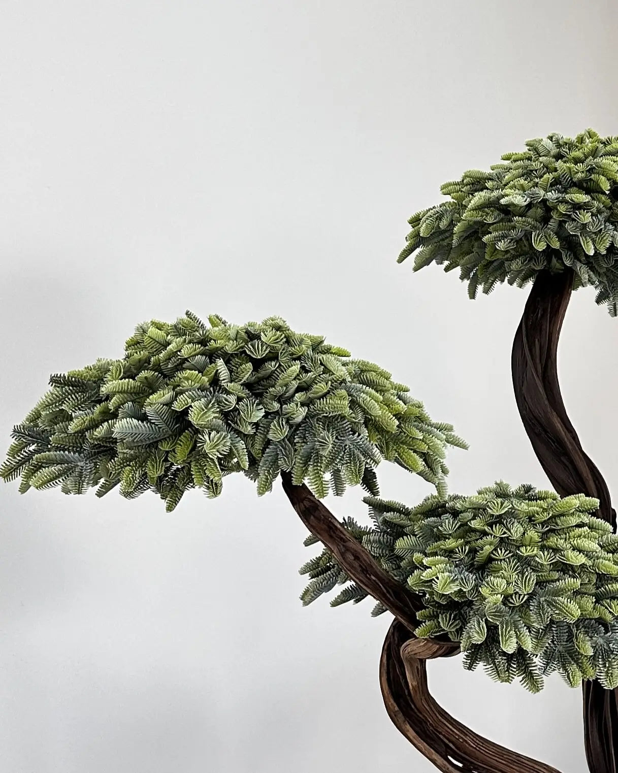 Yapay Bonsai Alpina Sedir