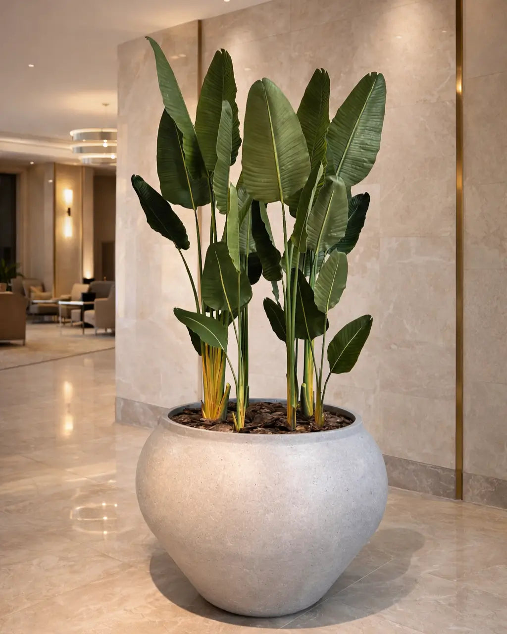 Yapay Bitki Starliçe Islak dev beton saksı