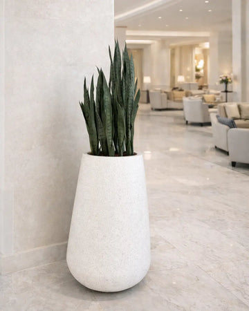 Yapay Sansevieria Paşa Kılıcı
