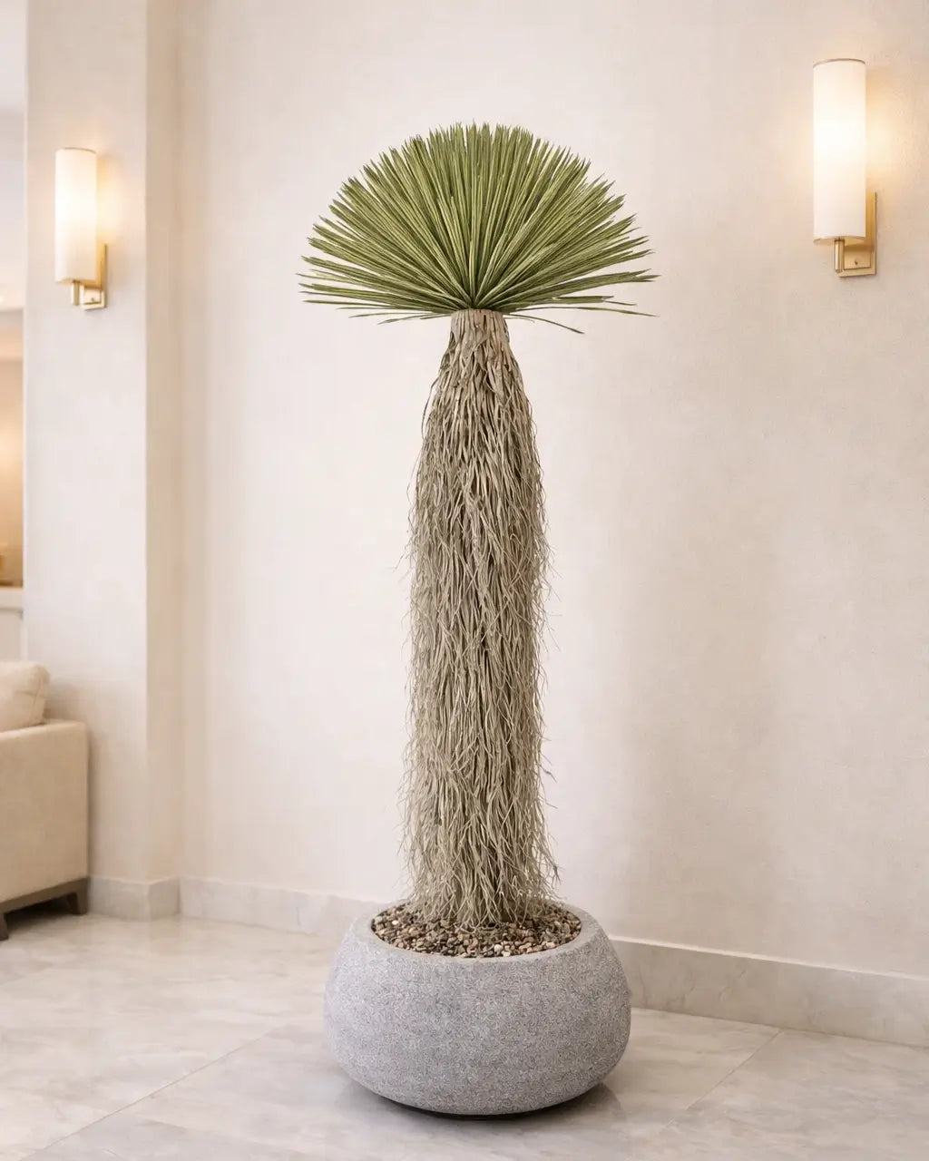 Yapay Bitki Yucca Rostrata beton saksı