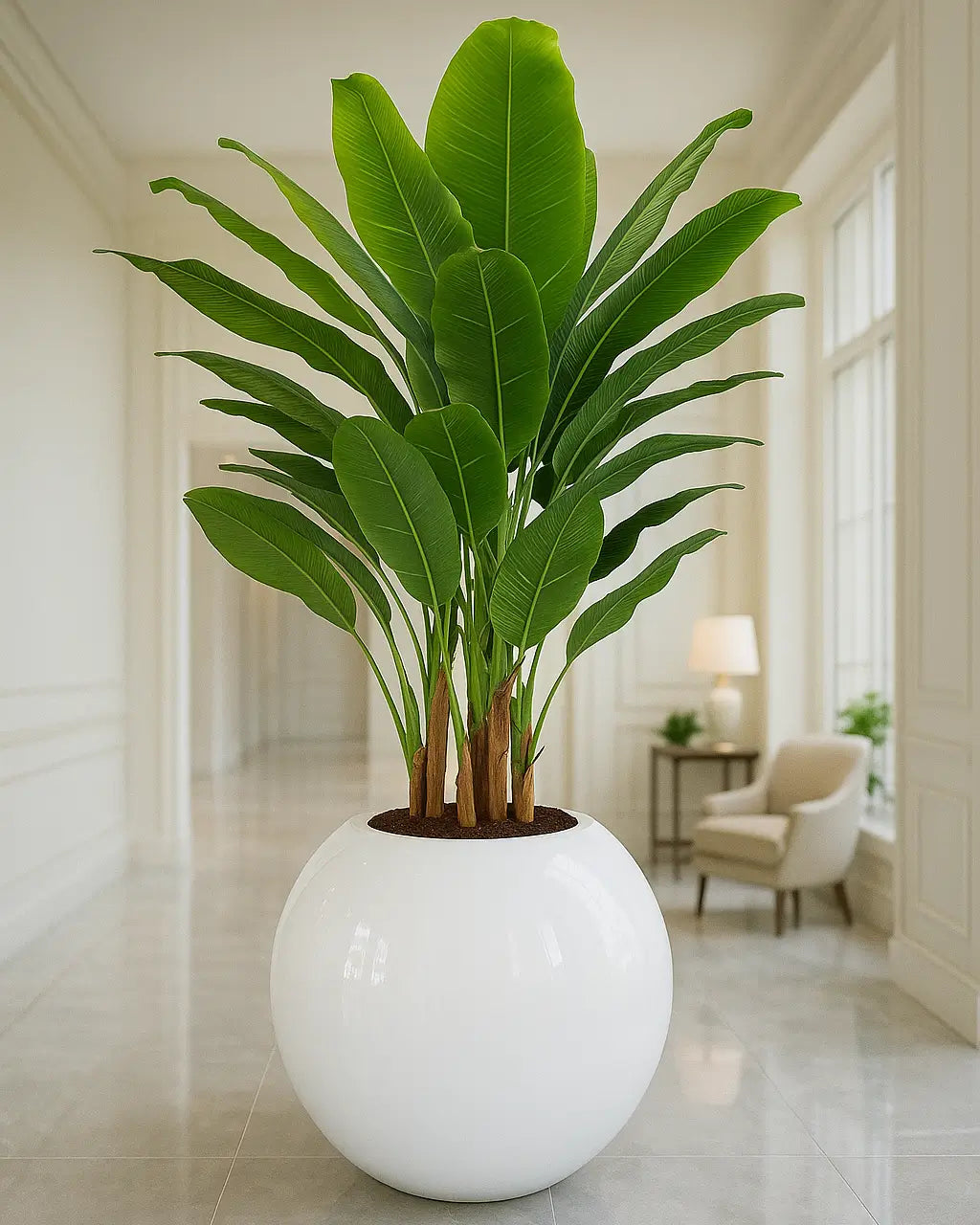 Yapay Bitki Muz Dev Top