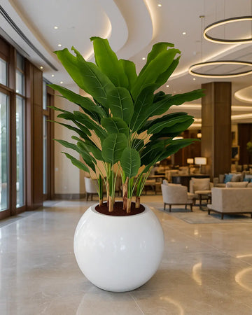 Yapay Bitki Muz Dev Top