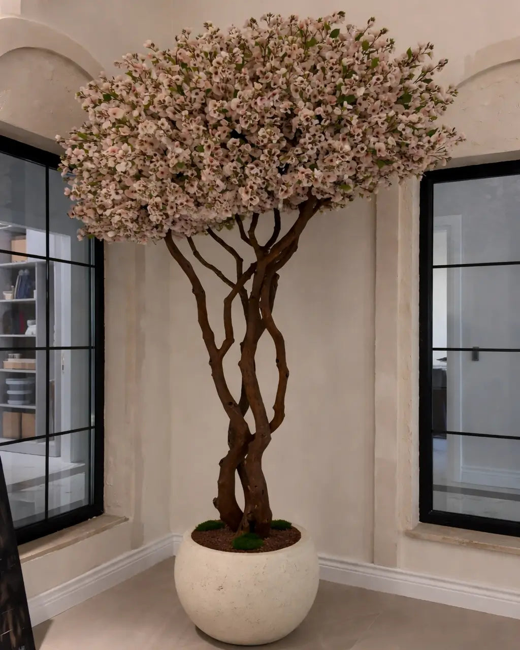 Sakura Bonsai Grande Purple