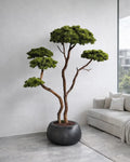 Yapay Bonsai Koca Katran
