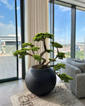 Bonsai Yakudza