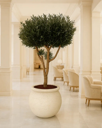 Yapay Ağaç Siyah Zeytin Likya