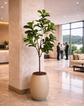 Yapay Bitki Ficus Lirata