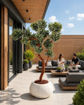 Yapay Bonsai Elbrus Sediri
