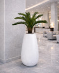 Yapay Palmiye Cycas Revoluta Sago