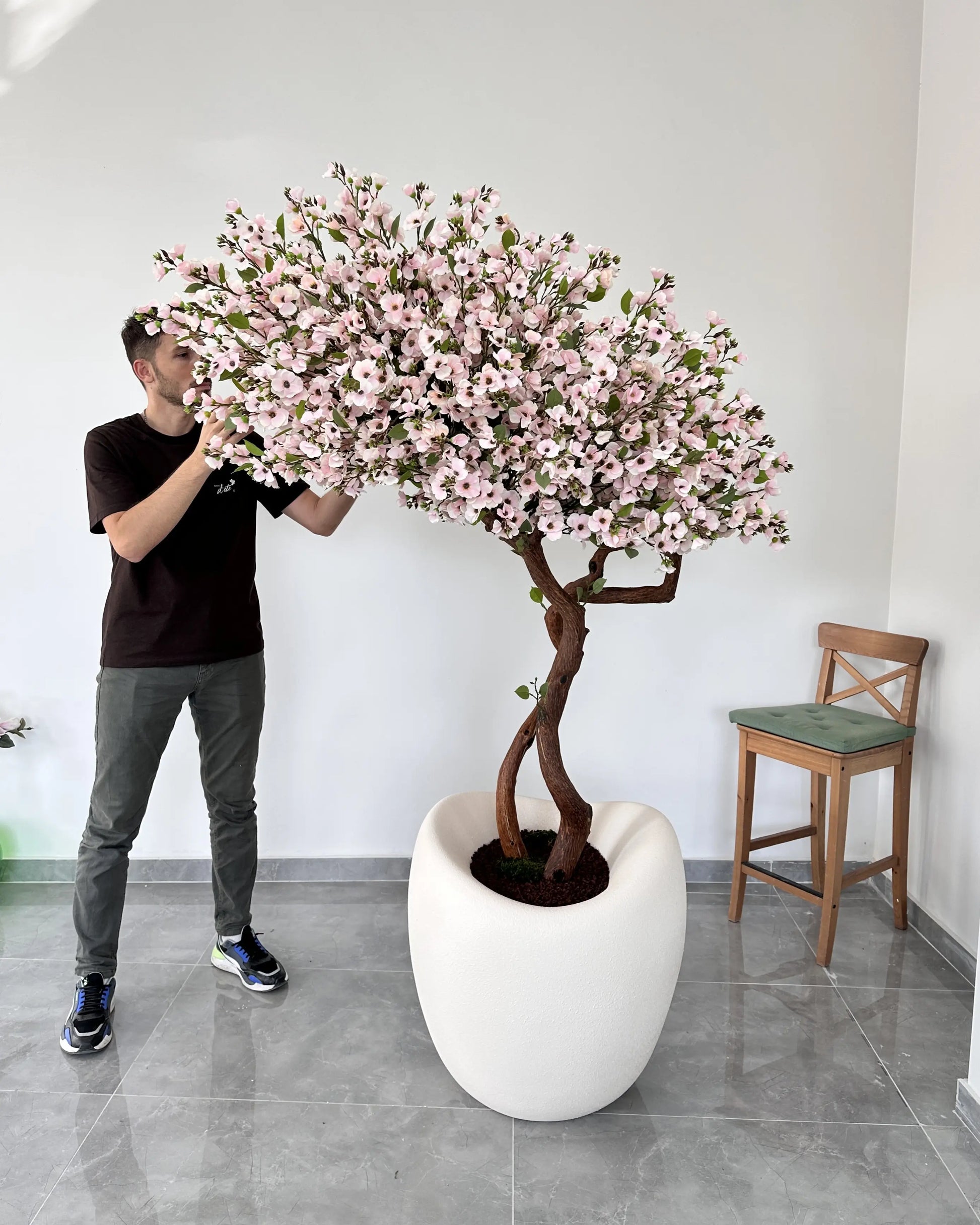 Sakura Bonsai Grande Purple