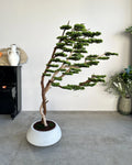 Yapay Bonsai Ağacı - Şaramiki Rüzgar