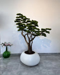 Yapay Bonsai Moyogi Grande