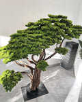 Yapay Bonsai Nagasaki merdivenin altına veya peyzaj