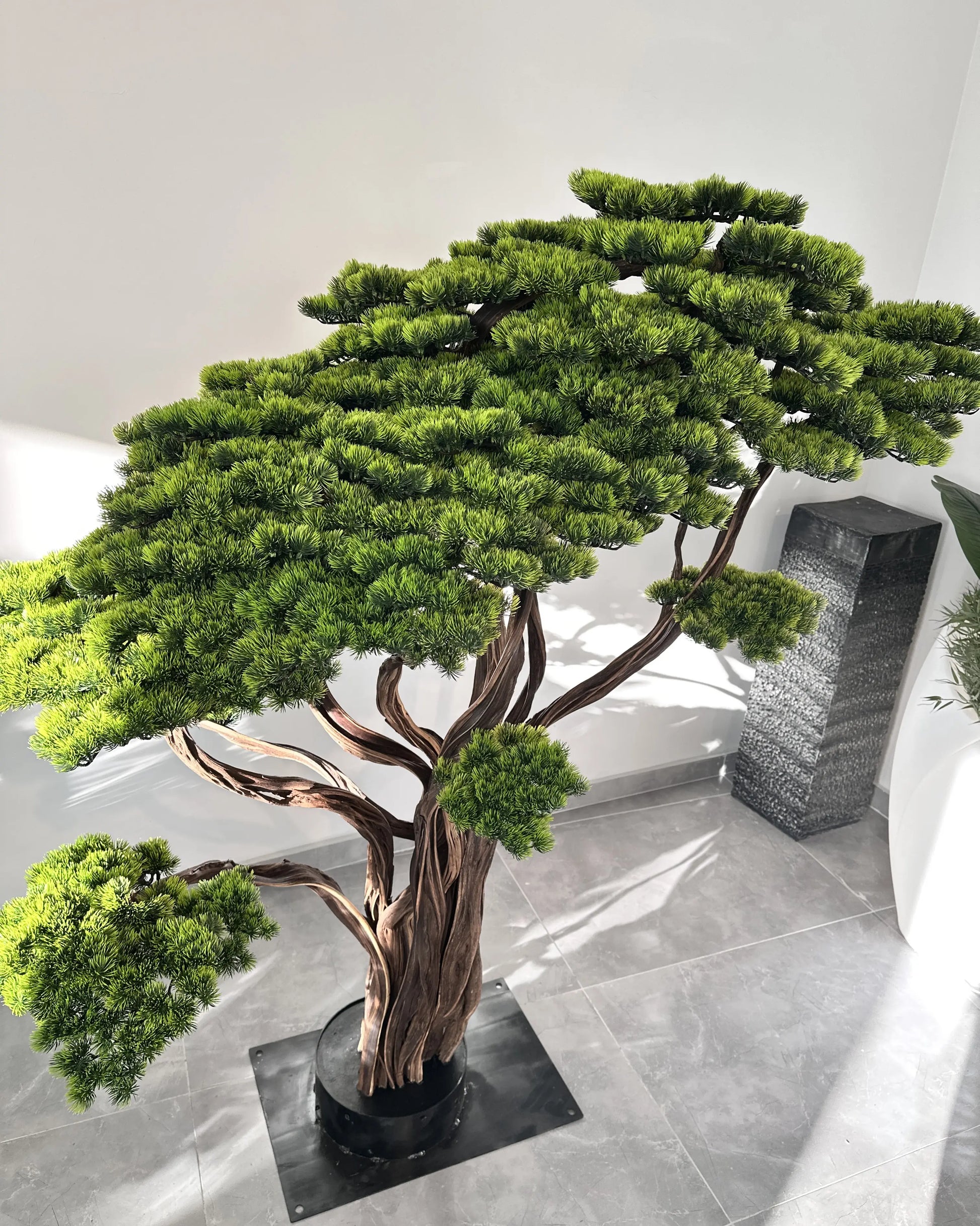 Yapay Bonsai Nagasaki merdivenin altına veya peyzaj