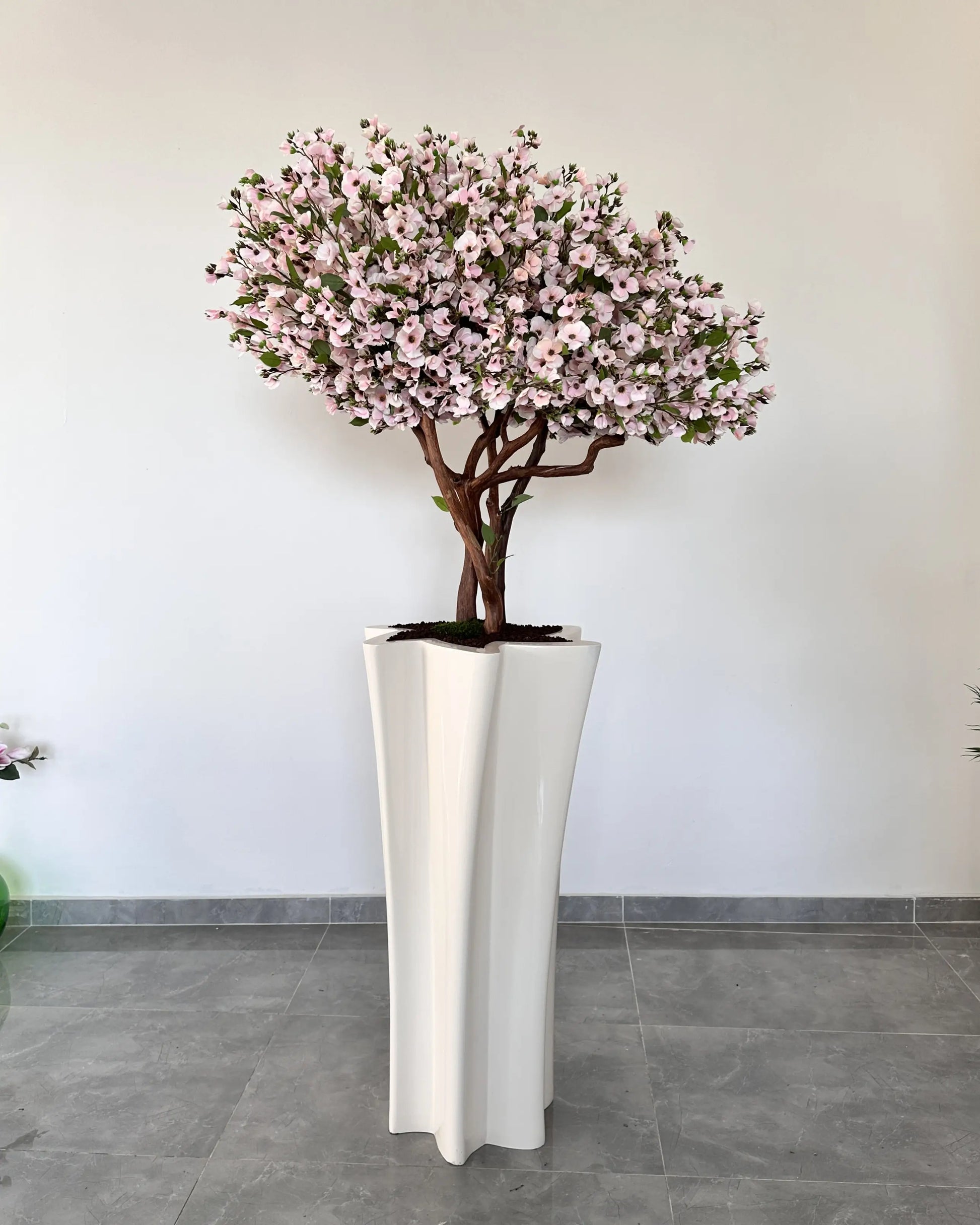 Sakura Bonsai Grande Purple