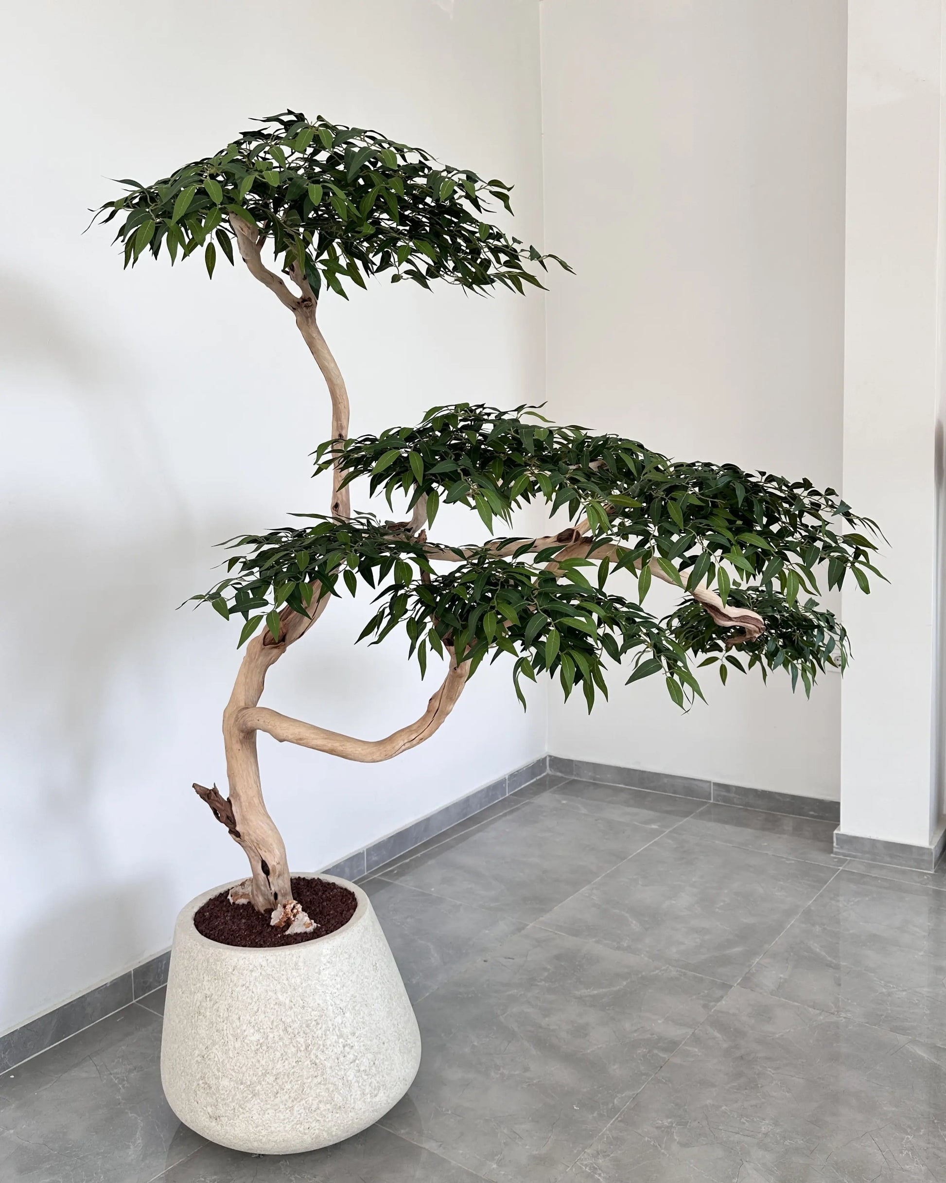 Yapay Ağaç Monte Domingo