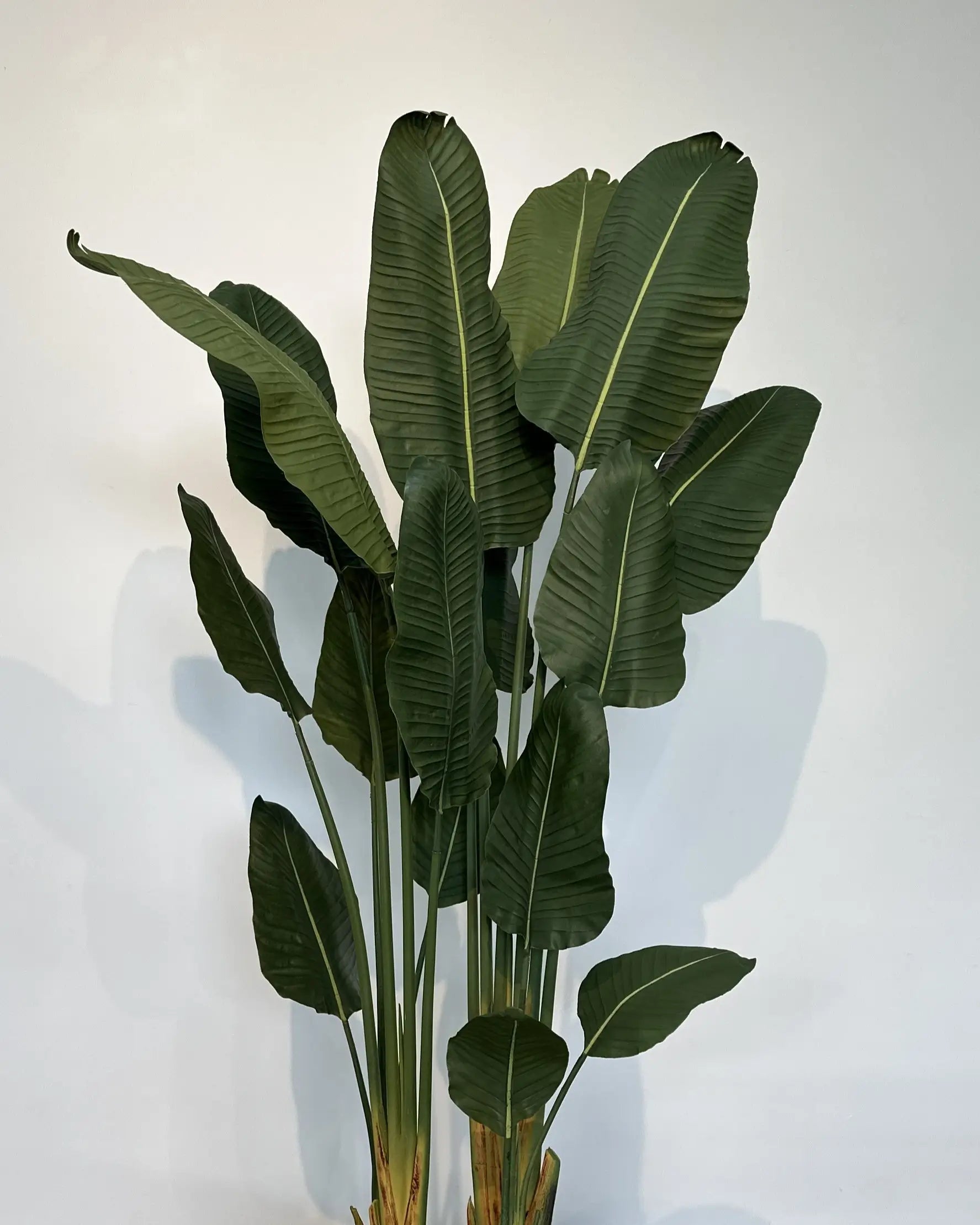 Yapay Bitki Starliçe Royal Silikon yapraklar