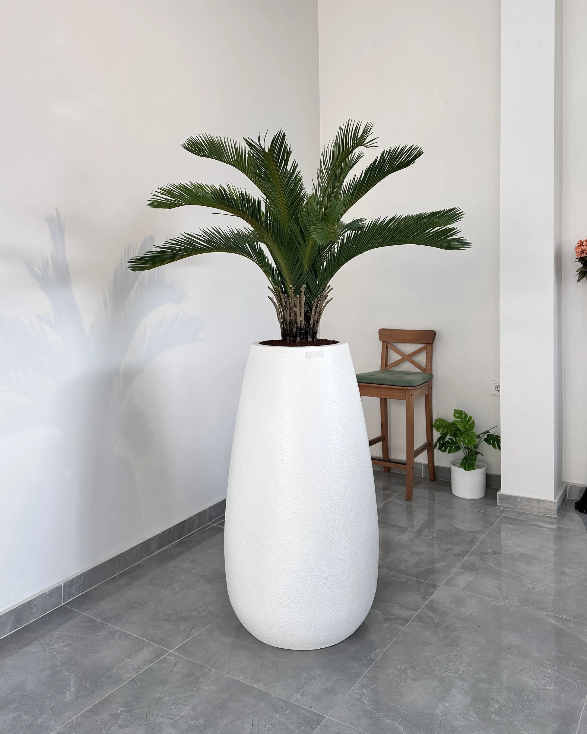 Yapay Palmiye Cycas Revoluta Sago