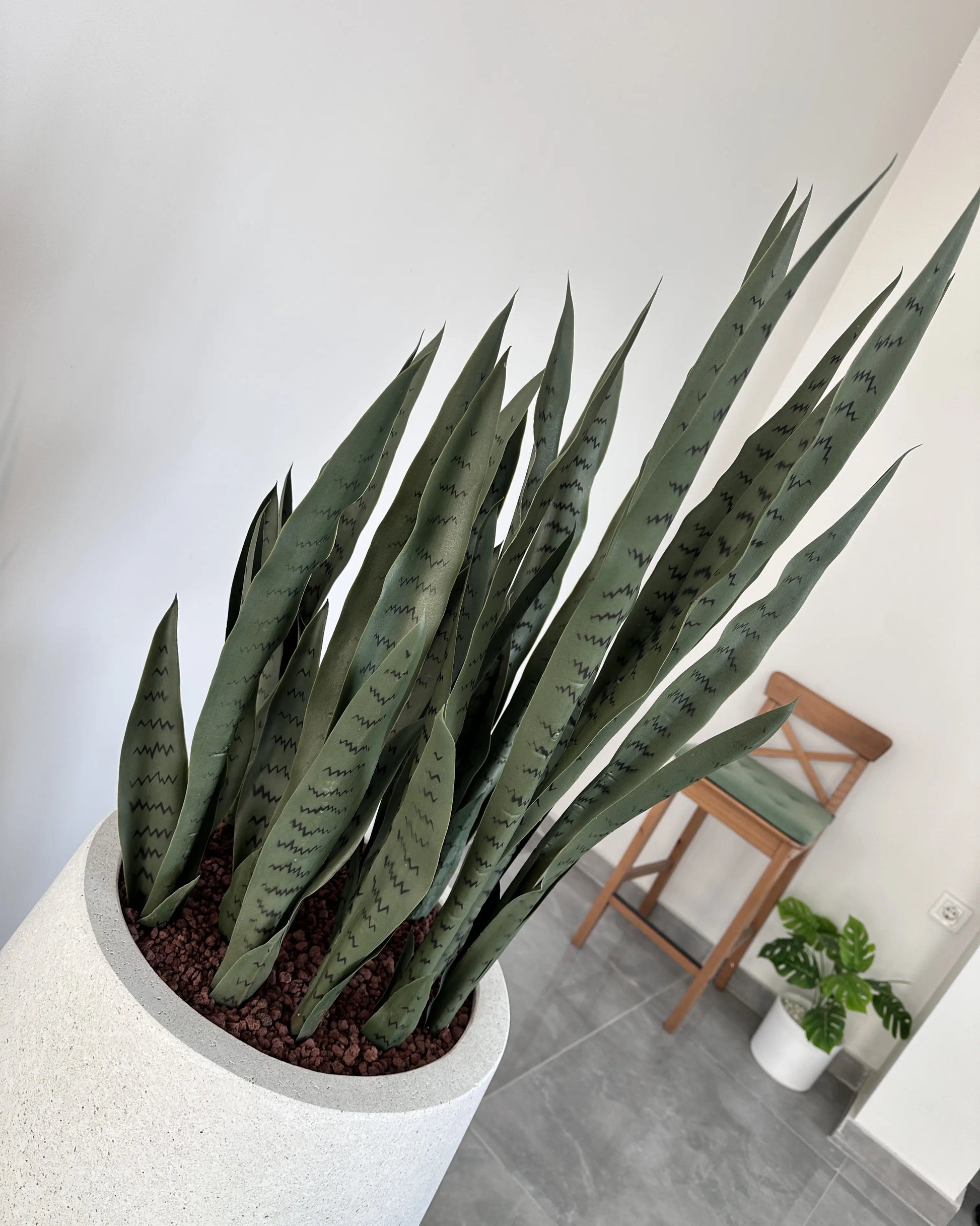 Yapay Sansevieria Paşa Kılıcı