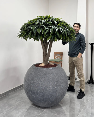 Yapay Ağaç Mango Dragon