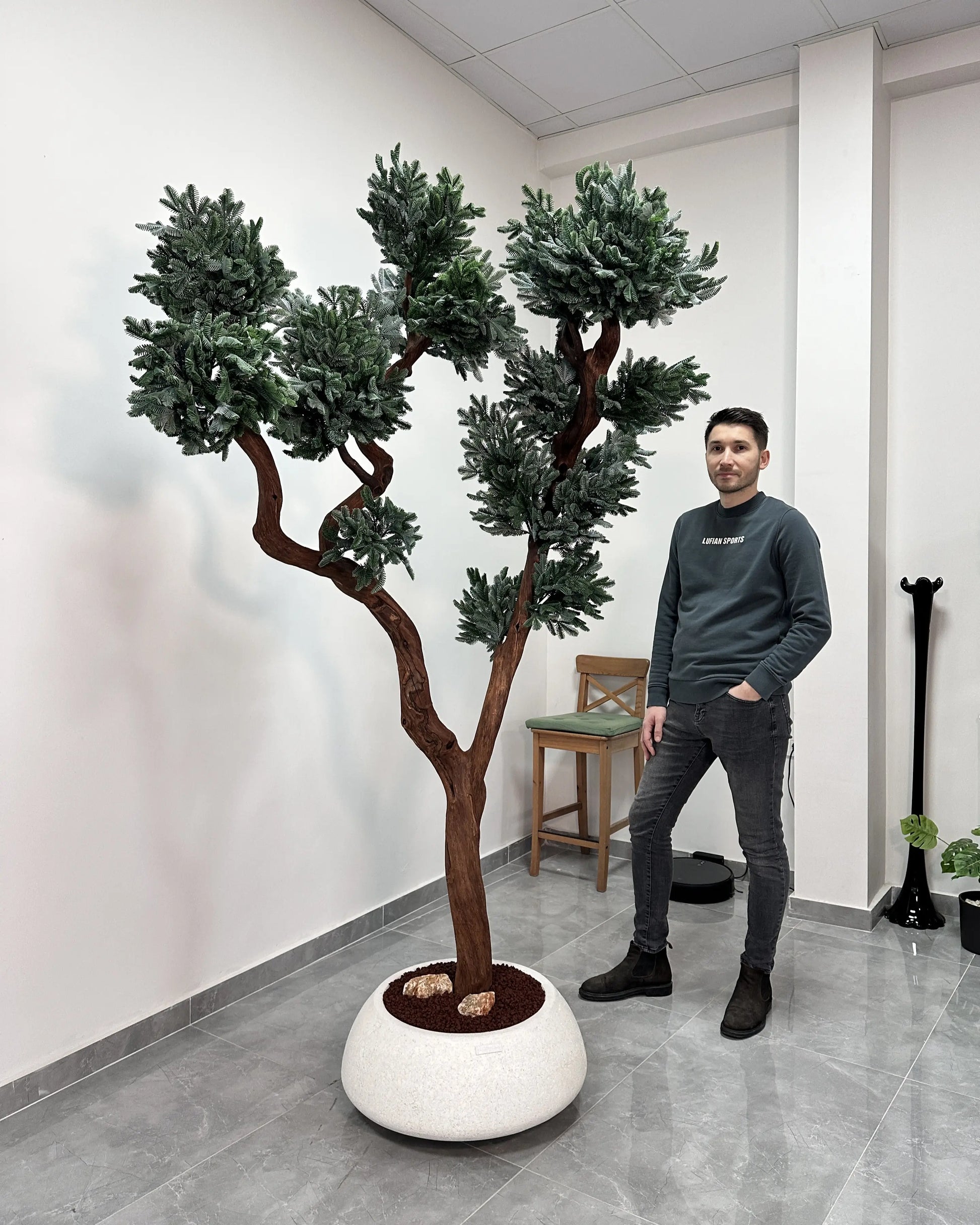 Yapay Bonsai Sibiriya Sediri