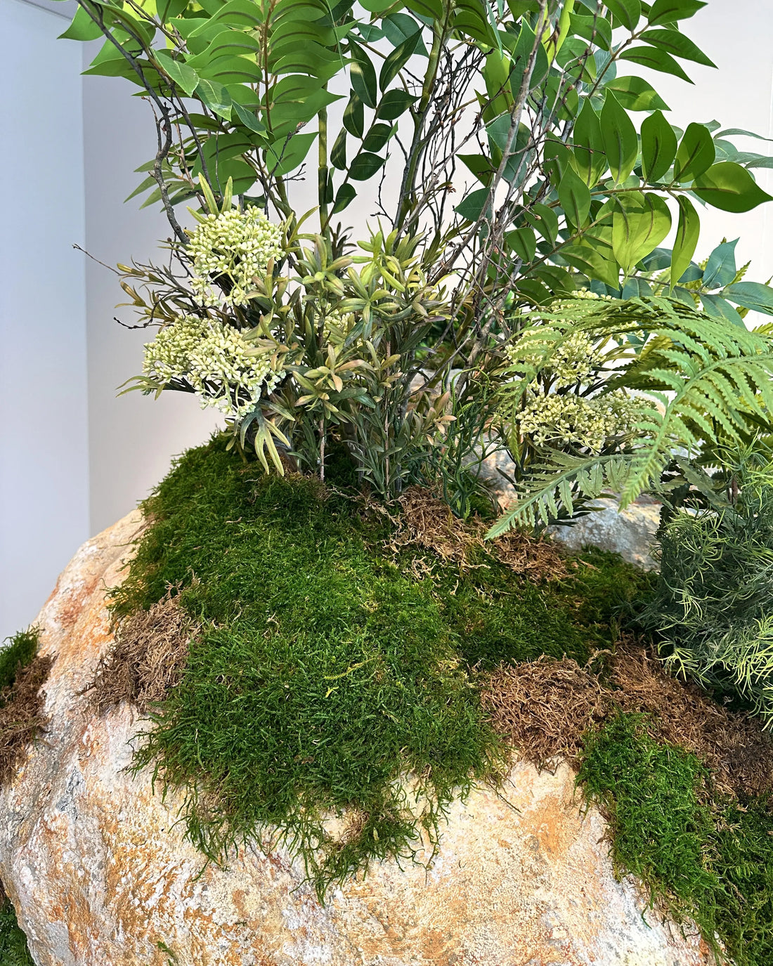 Taş & Bitki Enstalasyon Pandora Adası