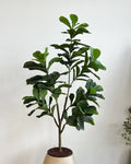 Yapay Bitki Ficus Lirata