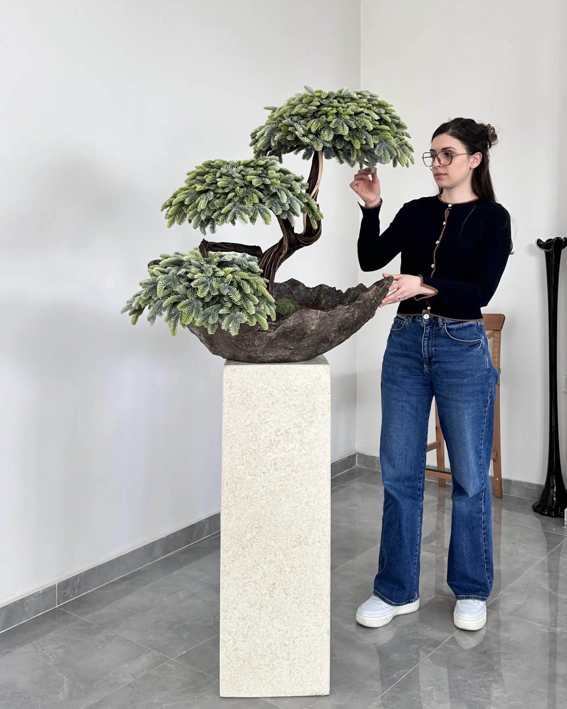 Sirius Cedar — Sculptural Bonsai Composition