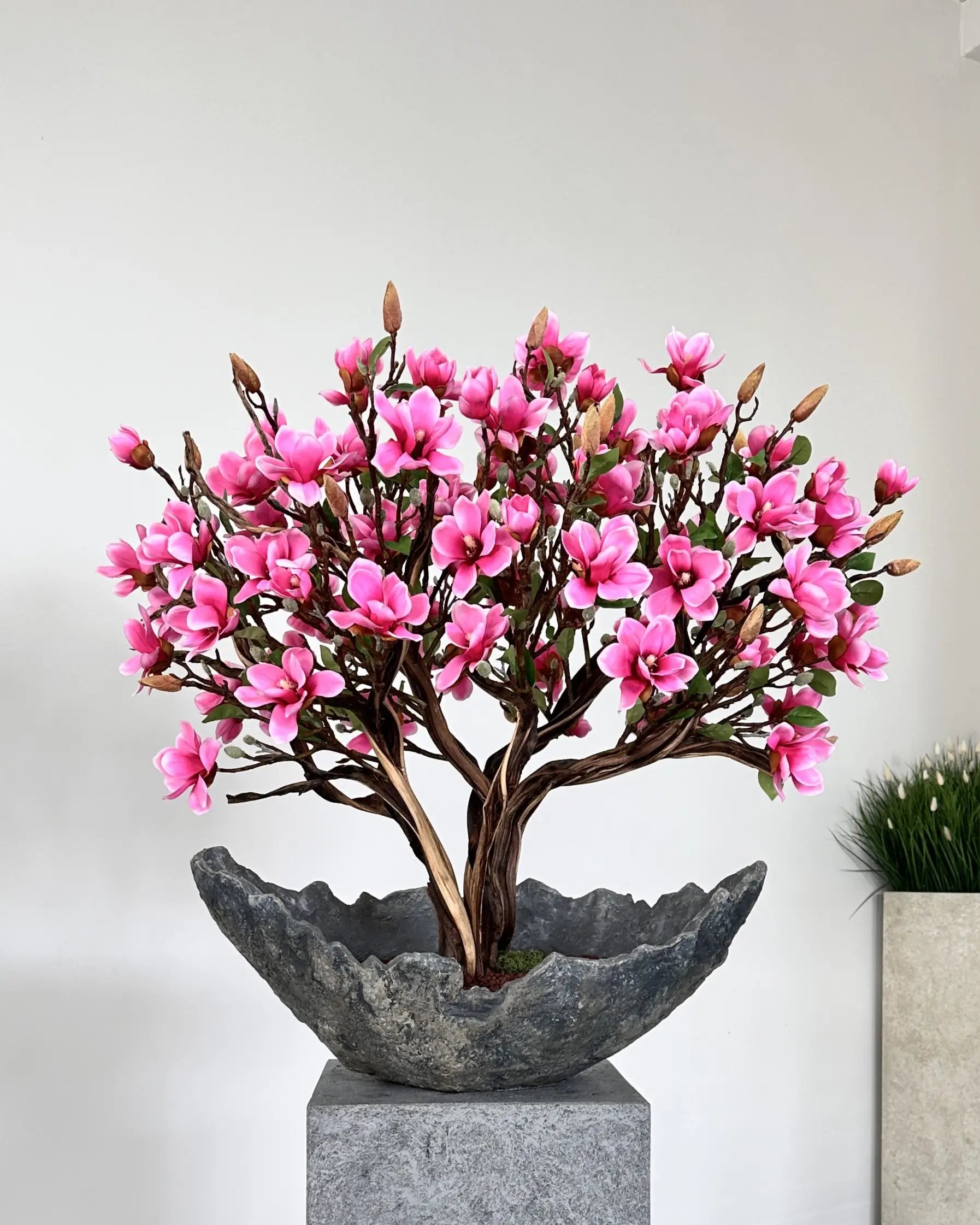Sakura Magenta Bonsai — Lava Collection