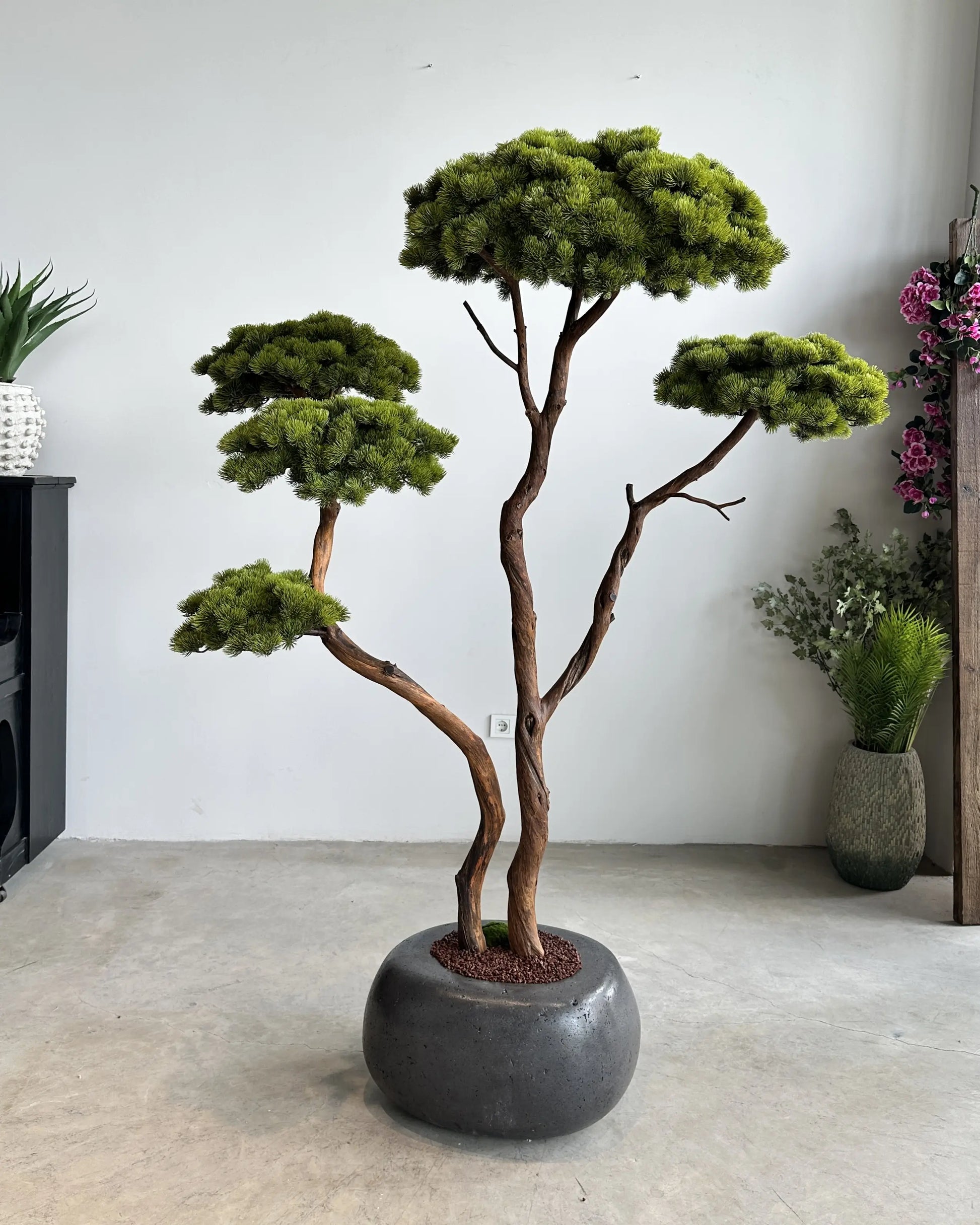 Yapay Bonsai Koca Katran