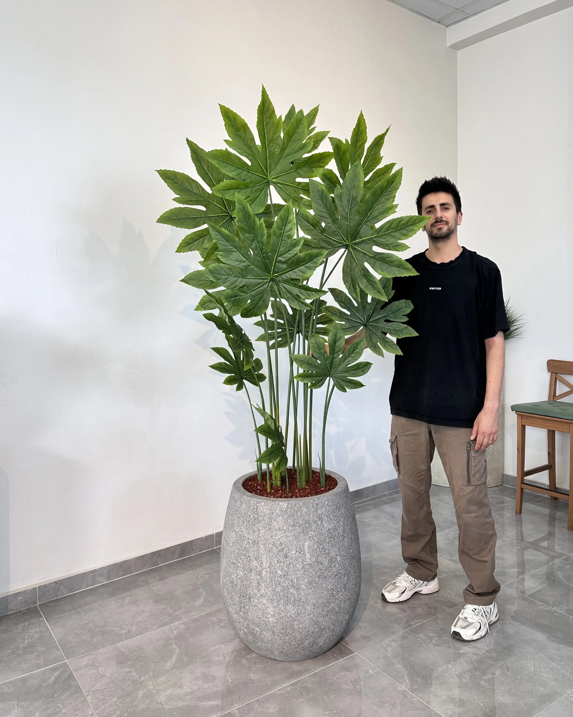 Yapay Bitki Aralia