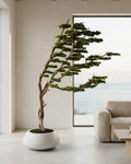 Yapay Bonsai Ağacı Şaramiki Rüzgar 1