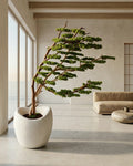 Yapay Bonsai Ağacı Şaramiki Rüzgar 2